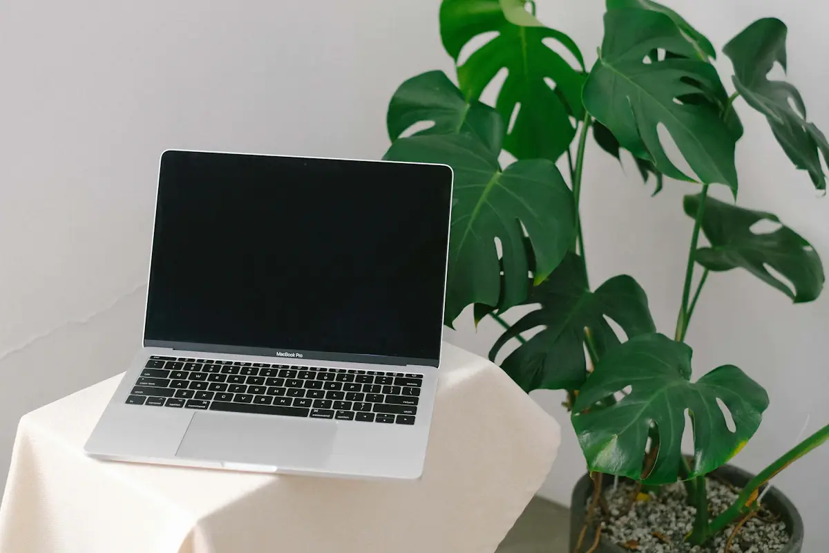 Portátil abierto sobre una mesa junto a una planta grande